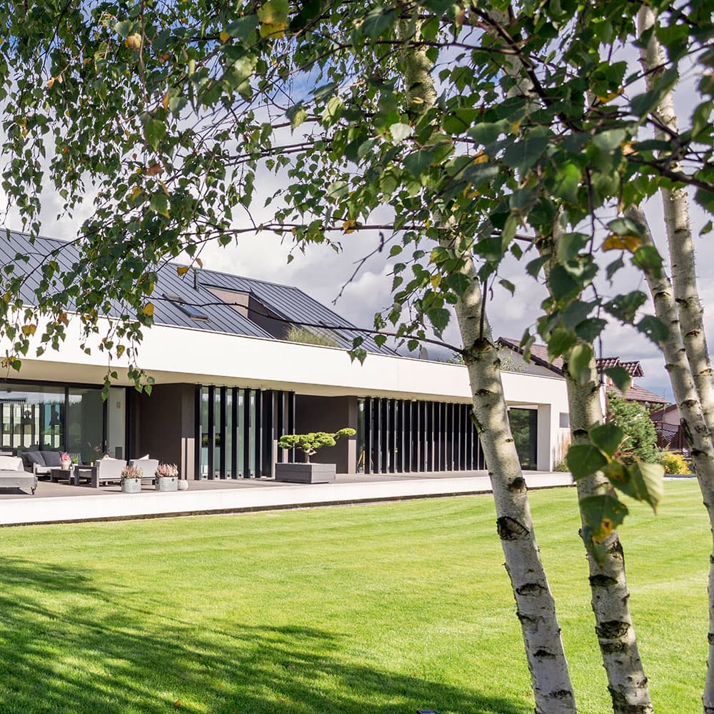 Contemporary home with landscaped garden